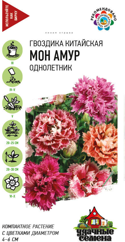 Семена. Гвоздика китайская махровая «Мон Амур», смесь, 0,1 г | Удачные семена | Гавриш
