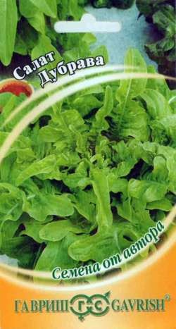 Семена. Салат «Дубрава» листовой, 1 г | Семена от автора | Гавриш