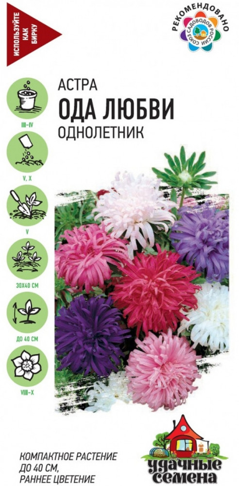 Семена. Астра «Ода любви», смесь, 0,3 г | Удачные семена | Гавриш