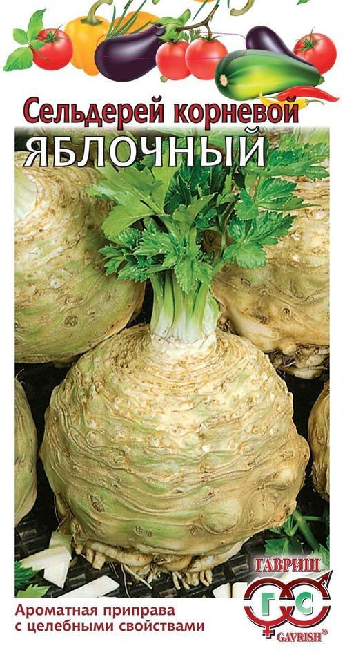 Семена. Сельдерей корневой «Яблочный», 0,5 г | Пряно-ароматические травы | Гавриш