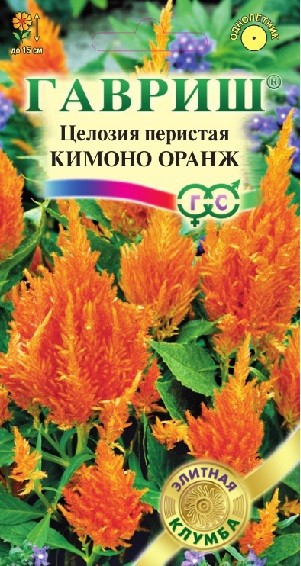 Семена. Целозия перистая «Кимоно Оранж», 10 шт | Элитная клумба | Гавриш