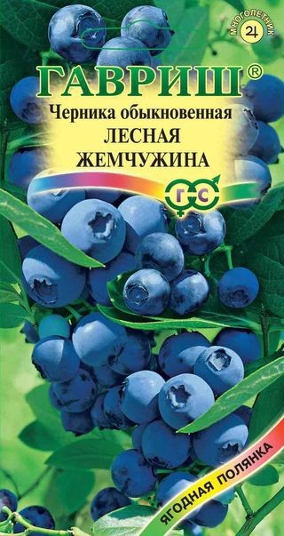 Семена. Черника «Лесная жемчужина», 30 шт | Ягодная полянка | Гавриш