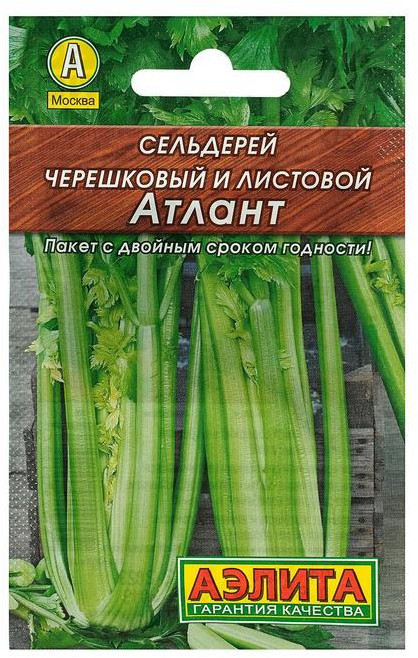 Семена. Сельдерей черешковый «Атлант», 0,5 г | Лидер (Аэлита) | Аэлита