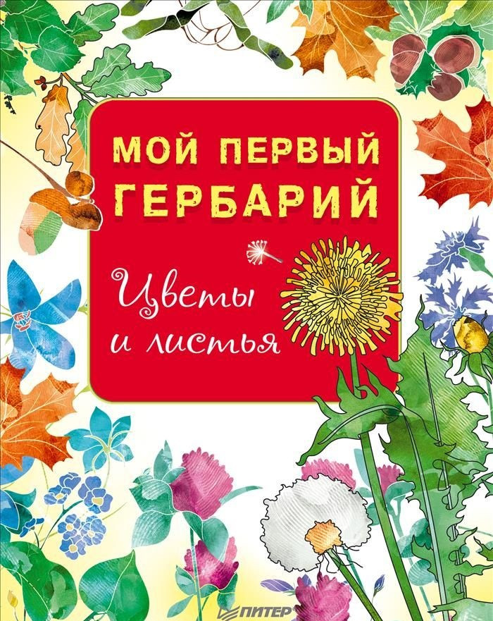 Мой первый гербарий. Цветы и листья | Вы и ваш ребенок