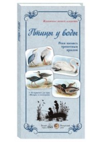 Птицы у воды. Реки касаясь трепетным крылом