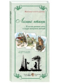 Животный мир «Лесные птицы. И песню раннюю...»