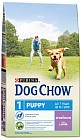 Корм для щенков Dog Chow «Ягненок» (800 г)