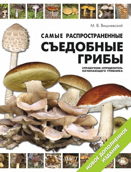 Самые распространенные съедобные грибы: Справочник-определитель начинающего грибника
