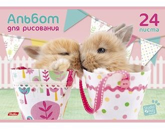 Альбом для рисования (24 листа на скрепке), в ассортименте