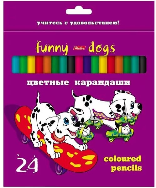 Карандаши цветные, 24 цвета | Далматинцы | Hatber