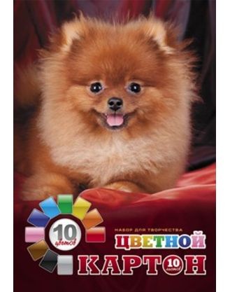 Картон цветной, 10 цветов