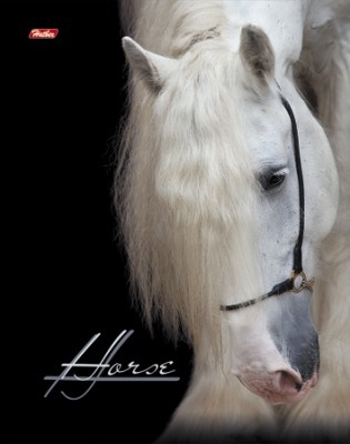 Тетрадь в клетку (80 листов формата А5 на гребне) | Horses | Hatber