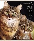 Тетрадь «Кошачья ласка» (48 листов, А5)