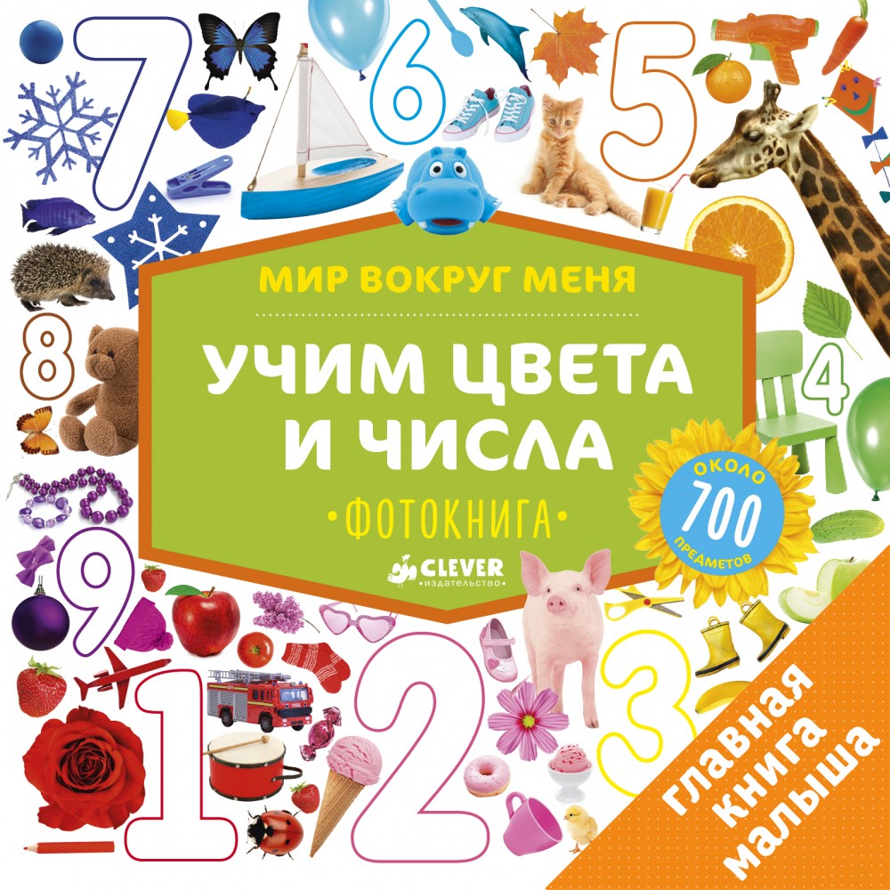 Мир вокруг меня. Учим цвета и числа. Фотокнига | Мир вокруг меня