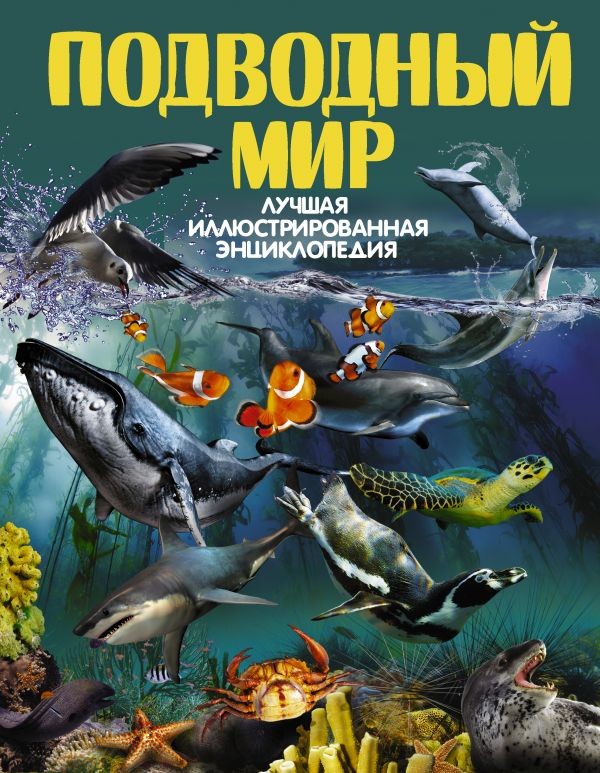 Подводный мир | Лучшая иллюстрированная энциклопедия