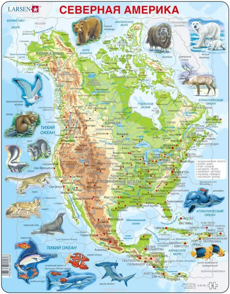 Пазл «Северная Америка» (66 элементов) | В мире животных | Larsen