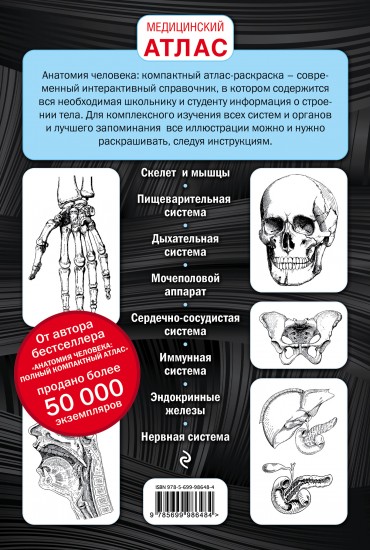 Раскраска анатомии человека Раскраска анатомии человека