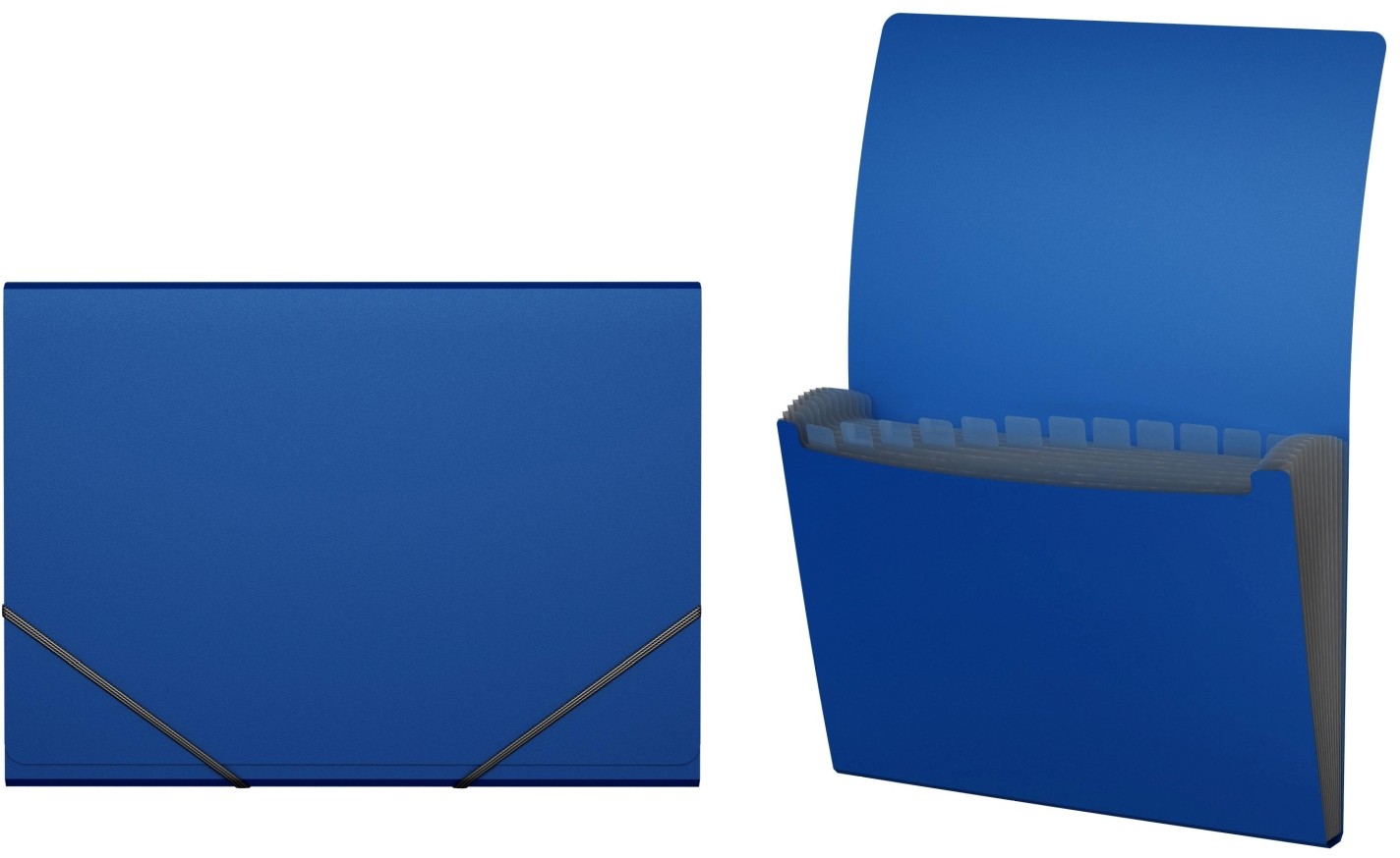 Папка-картотека с 12 отделениями A4 | Classic EK | Erich Krause