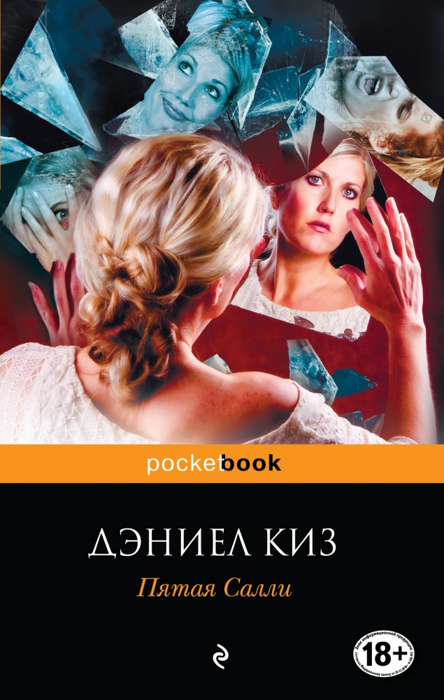 Пятая Салли | Pocket Book (обложка)