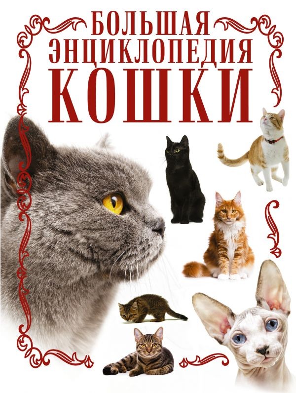 Кошки. Большая энциклопедия | Большая энциклопедия