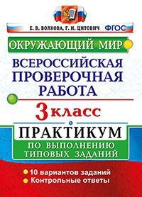 Окружающий мир. 3 класс. Всероссийская проверочная работа. Практикум по выполнению заданий. ФГОС