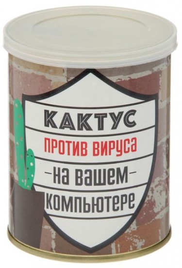 Набор для выращивания «Кактус»