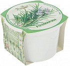 Набор для выращивания «Розмарин»