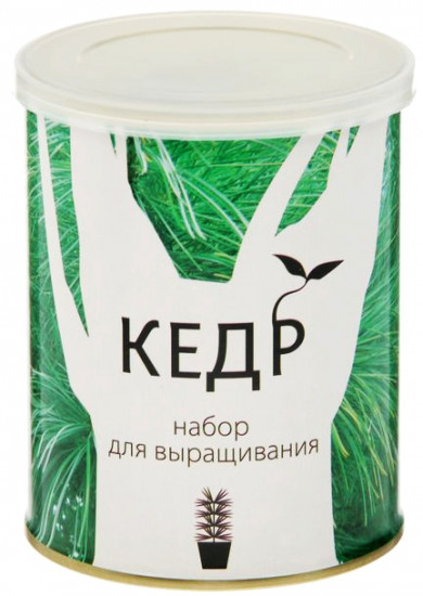 Набор для выращивания «Кедр»