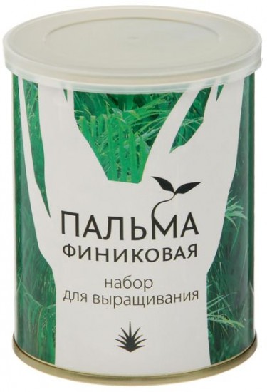 Набор для выращивания «Пальма Финиковая»