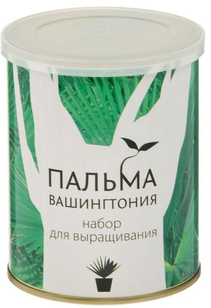 Набор для выращивания «Пальма Вашингтония» | Растение в банке | Bontiland