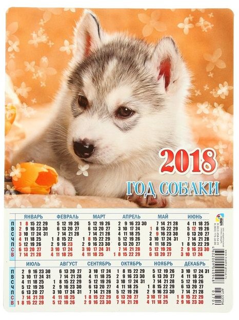 Календарь-магнит 2018 «Хаски» (А5) | Символ года 2018