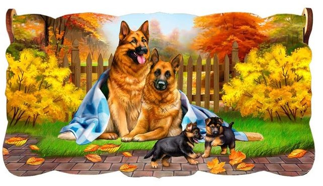 Шкатулка-купюрница «Семейство немецкой овчарки»