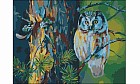 Холст с красками по номерам. «Сова в лесу» 30х40 см