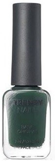 Лак для ногтей «Basic Original», оттенок GR509 | Trendy Nails | The Face Shop