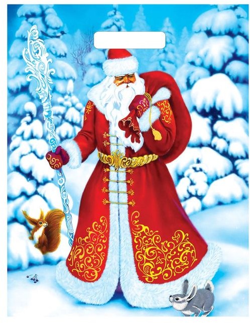 Пакет подарочный «Морозко» (40х31 см) | ТикоПластик