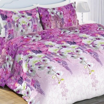 Комплект постельного белья «Вдохновение» (арт. 15407-1, 2-спальный, БИОкомфорт, 2 наволочки 70х70) | 3D | Любимый дом
