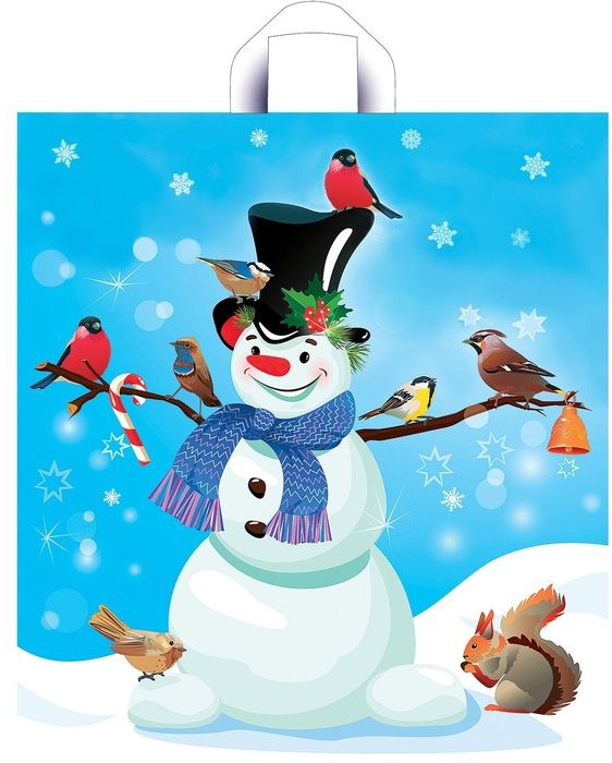 Пакет подарочный «Снежный друг» (38х42 см) | ТикоПластик
