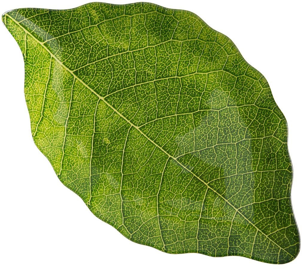 Блюдо «Листок» (15х25,5 см) | Lefard