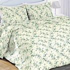 Комплект постельного белья «Пробуждение» (арт. 6417-1, 1,5-спальный, БИОкомфорт, 2 наволочки 70х70)