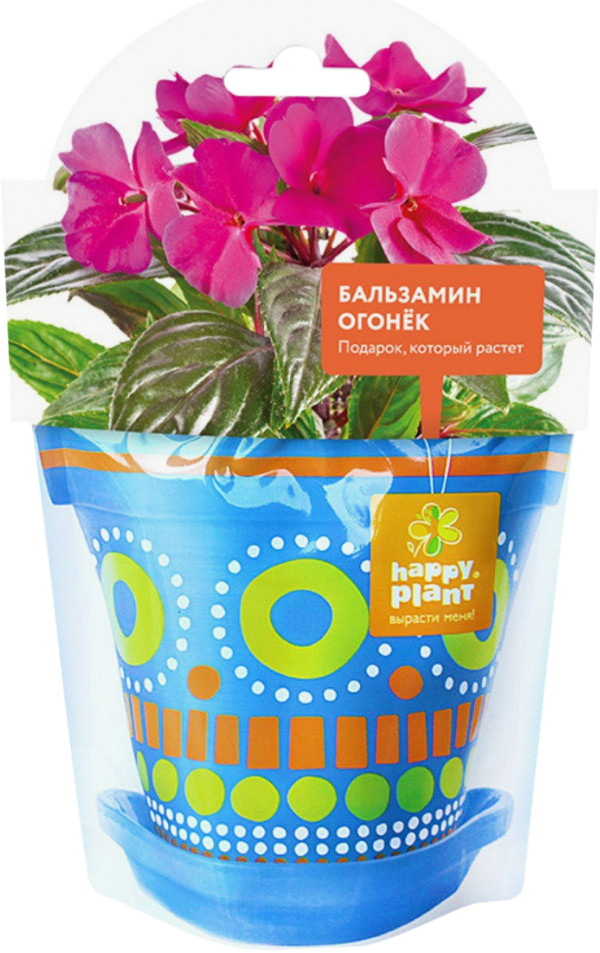 Набор для выращивания «Бальзамин огонек» | Вырасти меня! | Happy Plant
