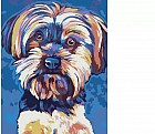 Картина по номерам «Йоркширский терьер»