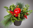 Композиция хвойная «Дары осени» (20 см), с яблоком и ягодами, в горшочке
