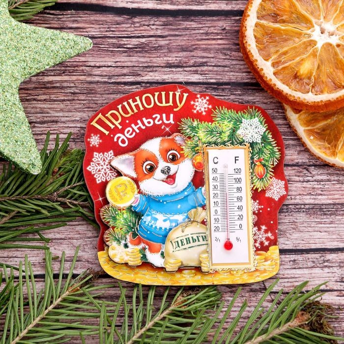 Магнит с термометром «Приношу деньги» | Магнит с термометром