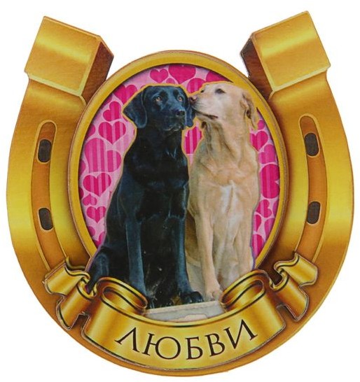 Магнит объёмный «Подкова на любовь» | Символ года 2018