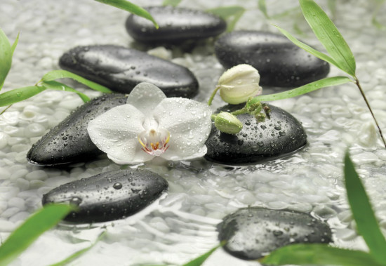 Фотообои «Pure» (368 х 254 см)