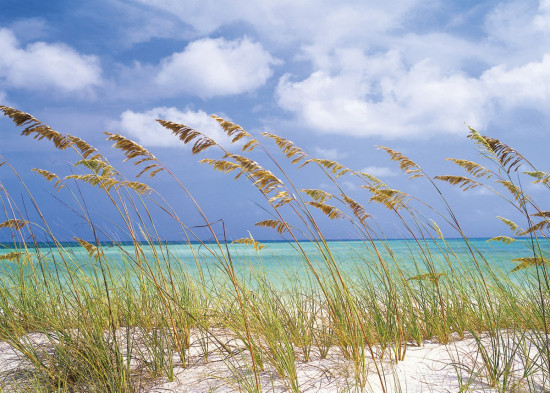 Фотообои «Ocean Breeze» (368 х 254 см)