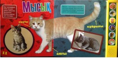 Жануарға жақын бол (Ближе к животным) - Фото 1