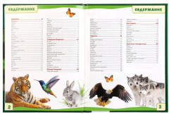 Животные. 100 фактов. Энциклопедия - Фото 1