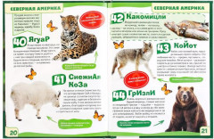 Животные. 100 фактов. Энциклопедия - Фото 2