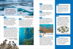 Планета Земля - Фото 7